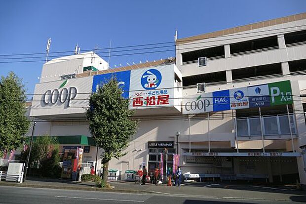 横浜市立三ツ沢小学校（約1,350m）