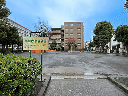 藤崎けやき公園 981m