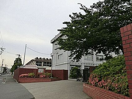 藤沢市立村岡中学校 1188m