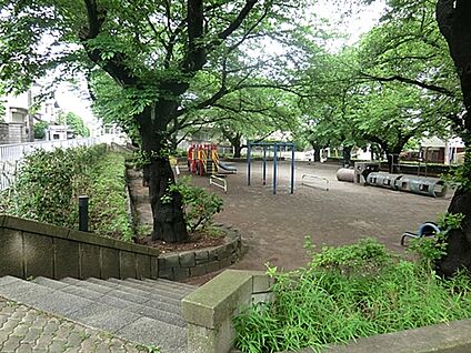 葉根木公園 575m