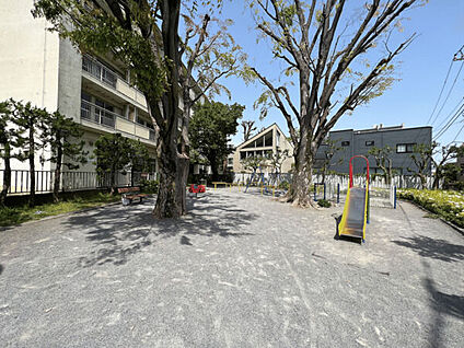 世田谷区立代田南広場 363m