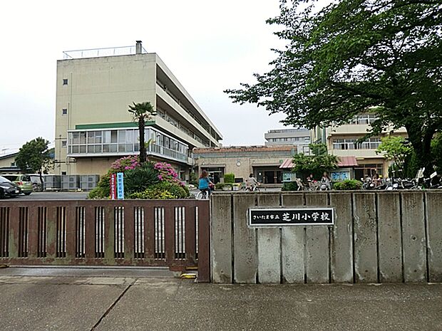 さいたま市立芝川小学校(約1,199m)