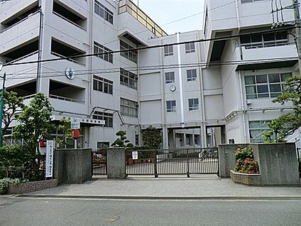 市川市立大洲中学校 1074m