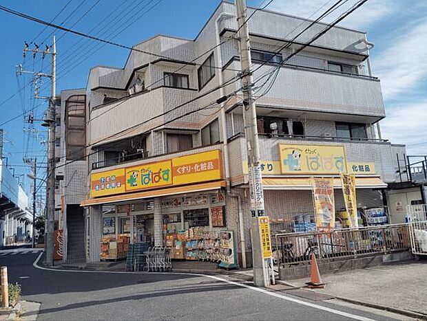 どらっぐ ぱぱす 新柴又店（約480m）