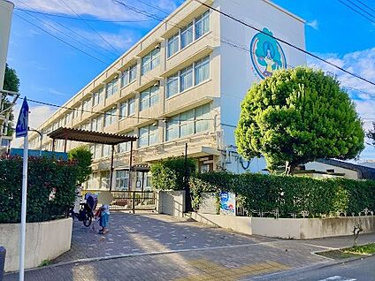 横浜市立新吉田小学校 256m