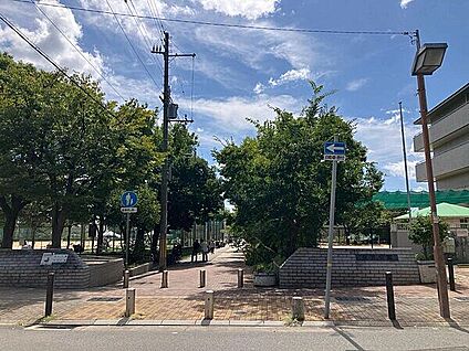 住吉公園 234m
