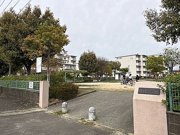 牟田山公園（約261m）