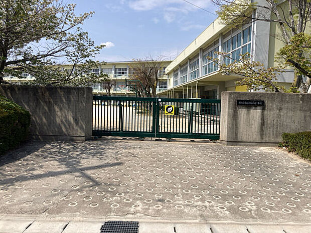 岡崎市立城南小学校(約156m)