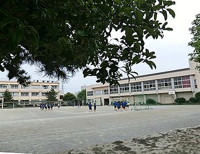 葛飾区立常盤中学校 395m