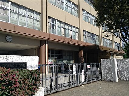 福岡市立箱崎小学校 900m