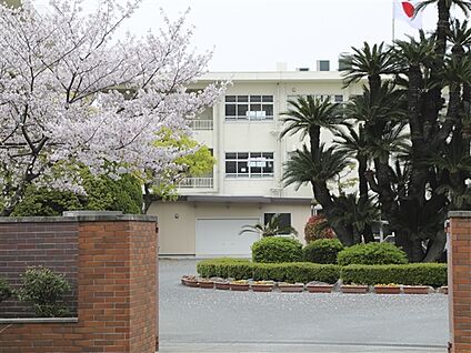 福岡市立箱崎中学校 2513m