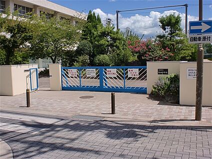 名古屋市立桜田中学校 518m