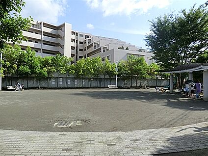 東高津公園 401m