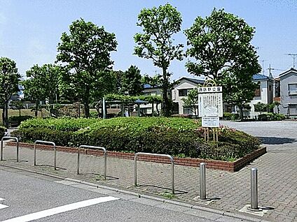 諏訪野公園 1164m