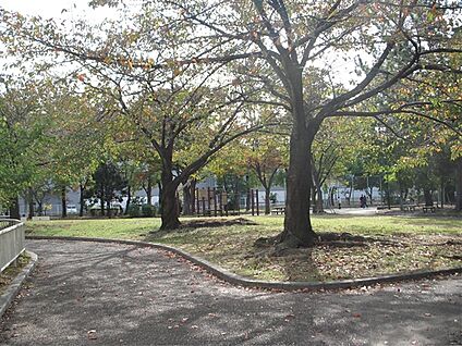 露橋公園 490m