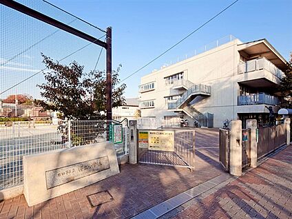 世田谷区立桜丘小学校 500m