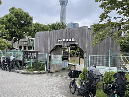 わんぱく天国 248m