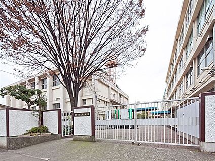 世田谷区立深沢中学校 239m