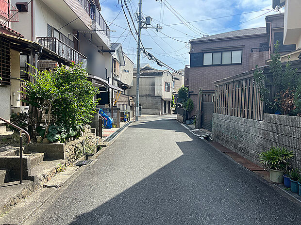 2026年7月撮影