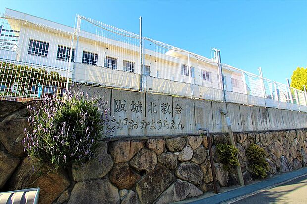 藤が丘幼稚園（徒歩8分）