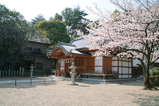 紫金山公園(約400m)