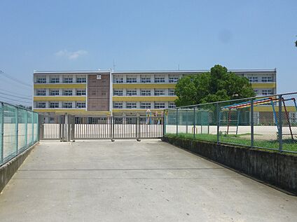 松岡小学校 2000m