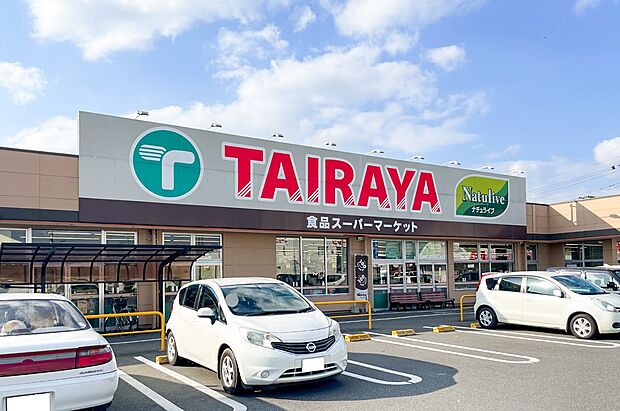 TAIRAYA川島店（約1,210m）