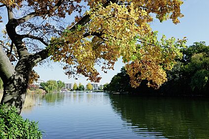 石神井公園 680ｍ(徒歩9分)