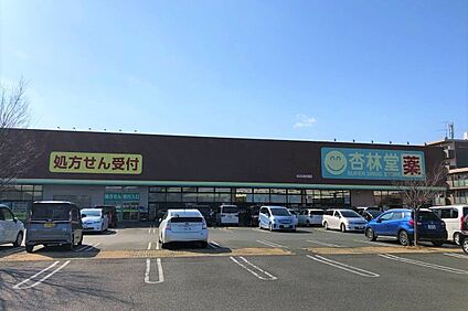 杏林堂姫街道店 約1500m(車約3分)