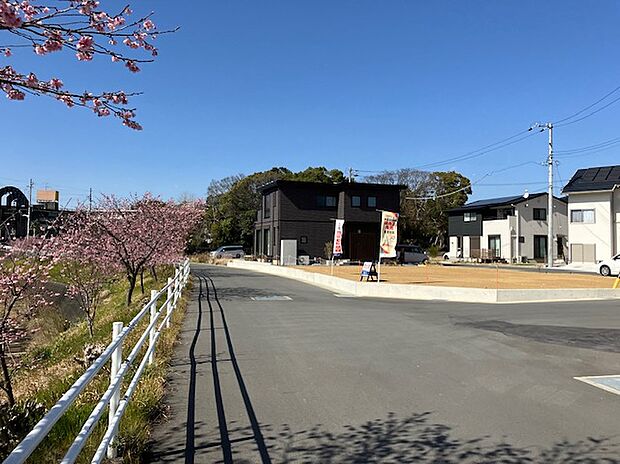 【分譲地】分譲地入口　桜並木がきれいです