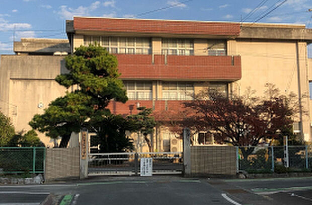 北浜小学校（約1,100m）