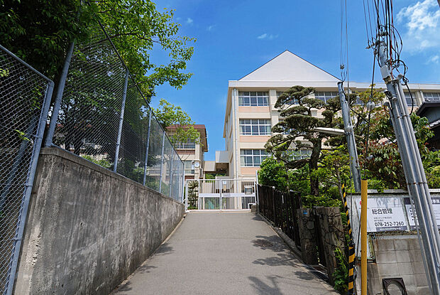 飛松中学校（約130m）