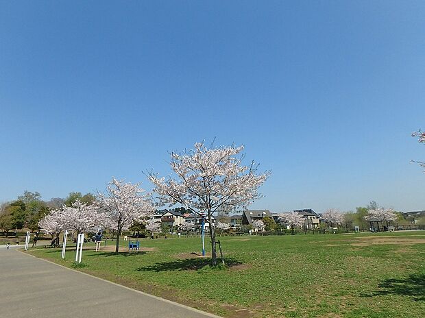 坪井近隣公園（約350m）