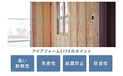 アクアフォームLITE