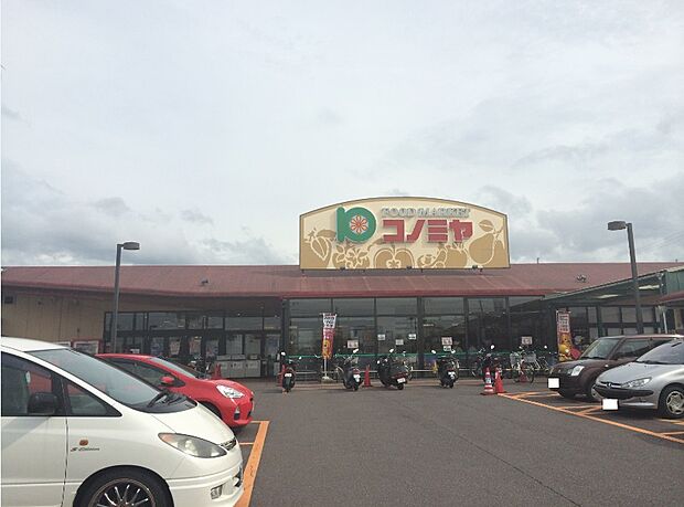 コノミヤ狭山店