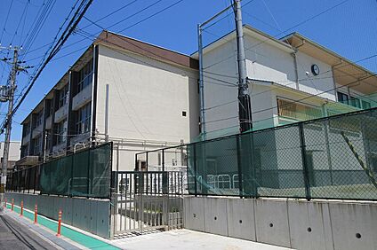 岸和田市立中央小学校 約310ｍ(徒歩5分)