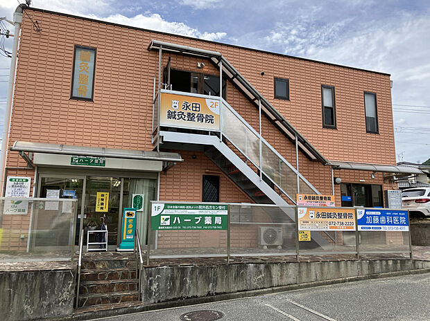 ハーブ薬局（1階）、加藤歯科医院（2階）（約525m）