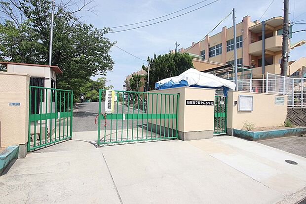 緑ヶ丘小学校(約1,100m)