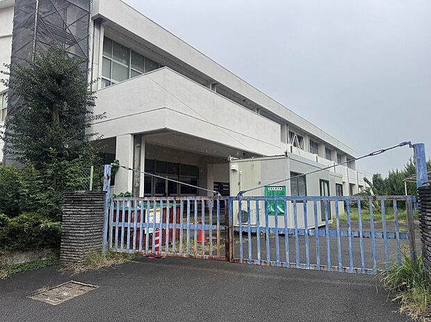 扶桑中学校（約1,500m）