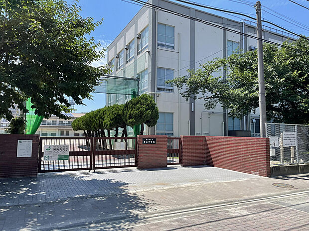 豊正中学校（約700m）