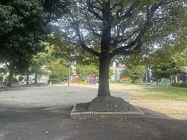 荒輪井公園（約300m）