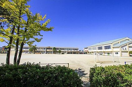 久留米市立荒木小学校 350m(徒歩5分)