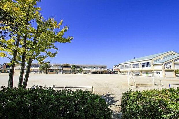 久留米市立荒木小学校(約350m)