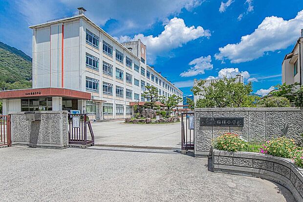 梅林小学校（約1,600m）