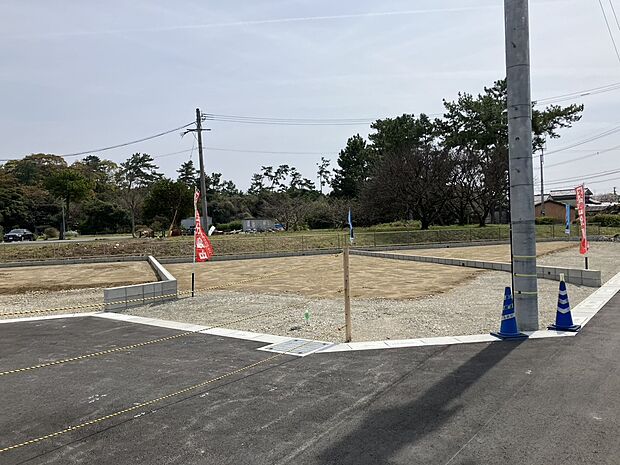 2026年4月2日撮影