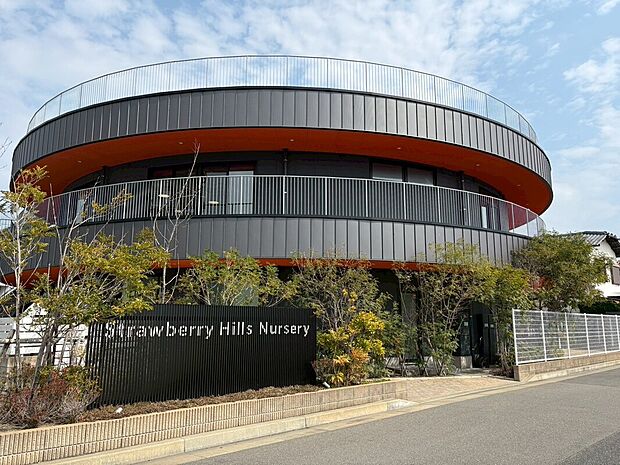 ストロベリーヒルズ(約699m)