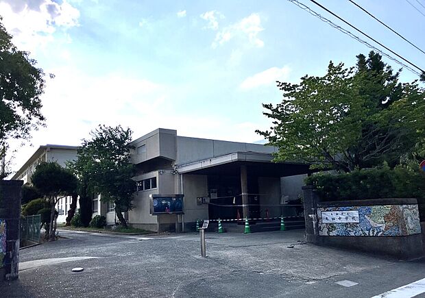 鳥栖中学校(約650m)