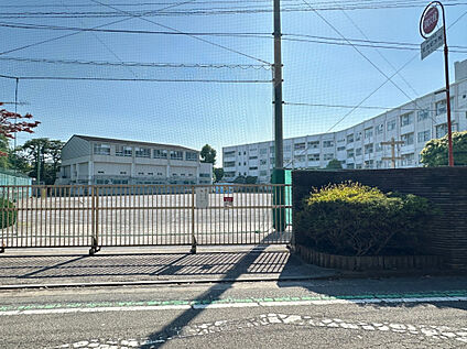 横浜市立小雀小学校 800m