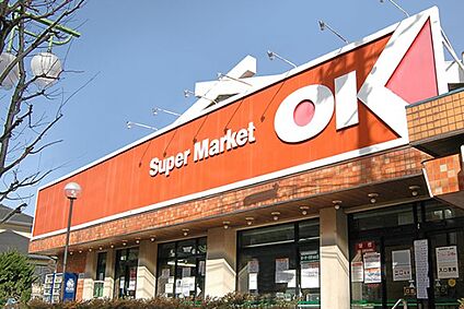 オーケー鷺宮店 約700ｍ(徒歩約9分)