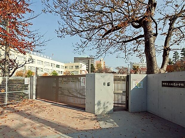中野区立桃花小学校
